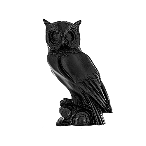 Elite crafters Gufo di Minerva o Gufo della Dea Athena Statua, 16 cm, colore: Nero