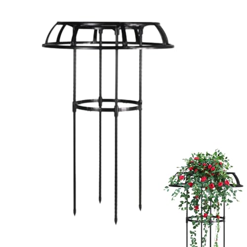 Garden Trellis for Climbing Plants - Steel Tube Support, Umbrella Shape Cage | 64.96in Tall Structure with Circular Base Design, Outdoor Vine Frame for Roses, Raspberries, and Flowering Bush Growth