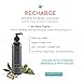 Modern ŌM Shungite Recharge Body Wash with Hemp Seed Oil | All Skin Types, Organic Cleanser for Face, Hands, Body | Vegan, Non-GMO Made In USA