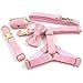 PETDURO Personalized Handmade Dog Collars Stripe Velvet Custom with Name Engraved Gold Metal Buckle for Boy & Girl Dogs - Matching Leash Bow Tie Harness Poop Bag Holder Available (S, Pink)