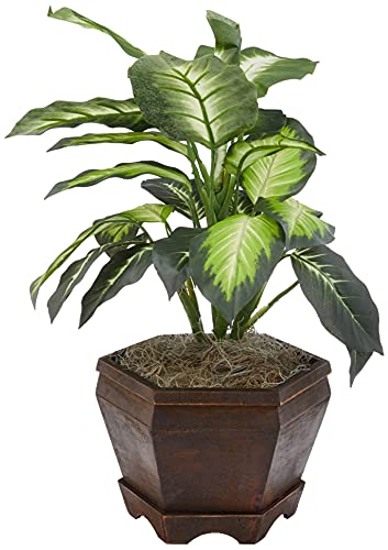 Nearly Natural Golden Dieffenbachia with Wood Vase Silk Plant