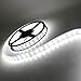 LEDENET® 16.4ft Double Row 600LEDs SMD 5050 LED Flexible Strip Lighting DC 12V LED Light Strip White 6000K Dimmable Light Waterproof IP67 Outdoor Use