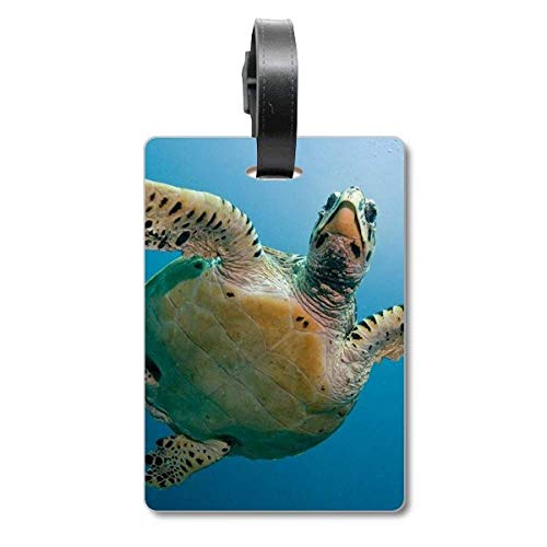 Étiquette valise tortue bleu océan en silicone premium
