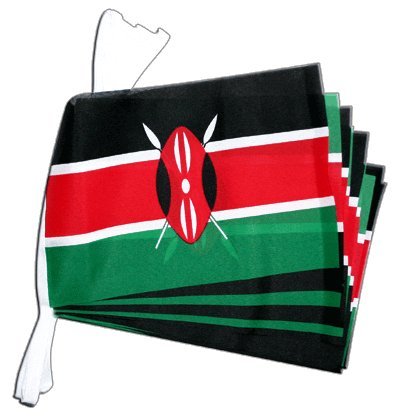 Guirlande drapeau Kenya 5,9 m Digni pour décorer un grand espace sans manquer de longueur