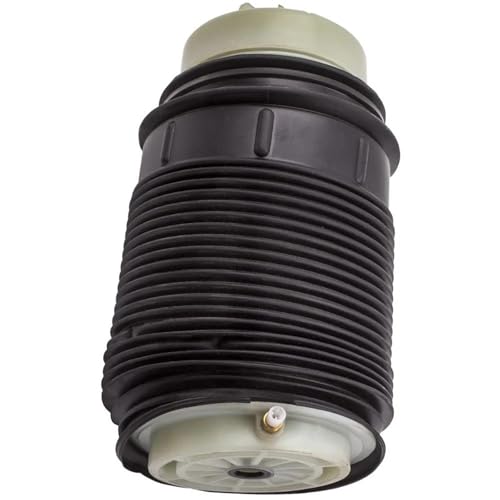 DZSQTUND Amortisseur Suspension Pneumatique Arrière Côté Passager pour Mercedes E350 2011-2012 Jambe Suspension