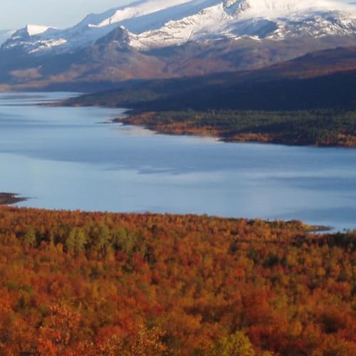 『Geography 101 in its fourth season, featuring the breathtaking land of Sweden』のカバーアート