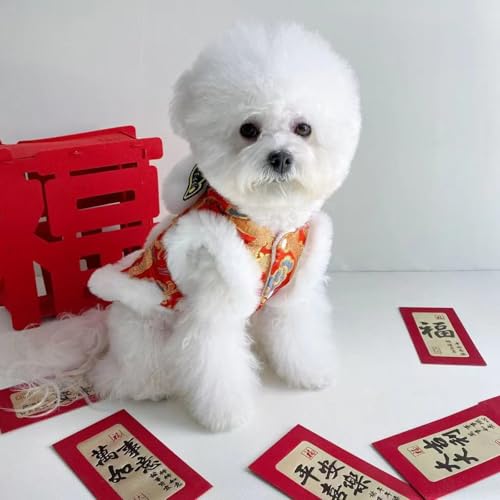 Disfraz de León para Perro Año Nuevo Chino Talla S miniatura 3
