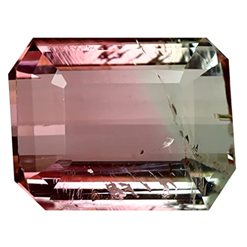 Tourmaline bicolore naturelle 10x8mm pierre précieuse octogonale Mozambique 2.83ct