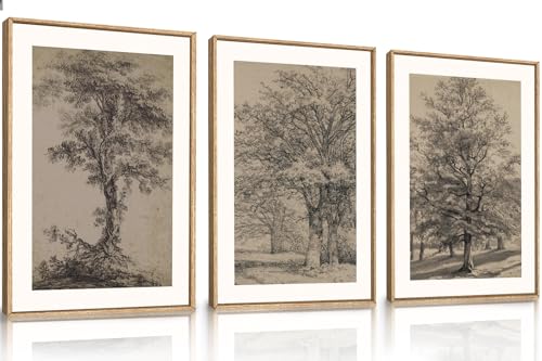 Image of KAIRNE Vintage Tree Sketch Framed Canvas Wall Art Set, Antique Tree Drawings Wall Decor, Retro Forest Art Prints, Modern Nature Landscape Artwork for Living Room, Bedroom, Farmhouse, Office-24 x36 x3