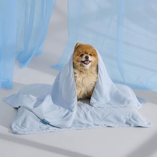 Bedsure Cooling Blanket for Small Dogs with Breathable Air-Core Fill Q-MAX>0.4 - Dog Cooling Mat Soft Lightweight Pet Cat Throw Cold Blanket Washable for Summer Arctic Blue 25x35