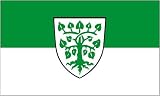 Fahne/Flagge Lindau Bodensee 90 x 150 cm