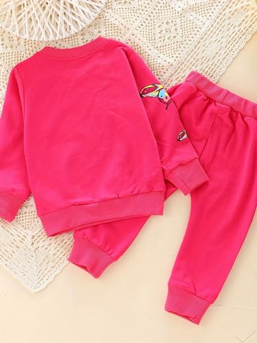 Image of Spring Fall Baby Girls Clothes 2pcs Casual Wear sets