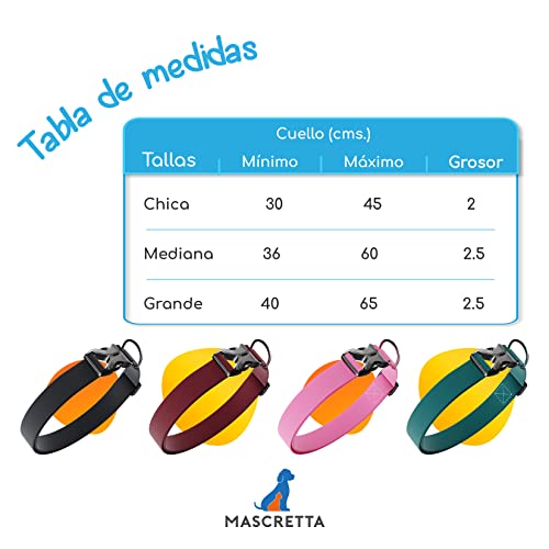Collares para perros 12 Imagen adicional