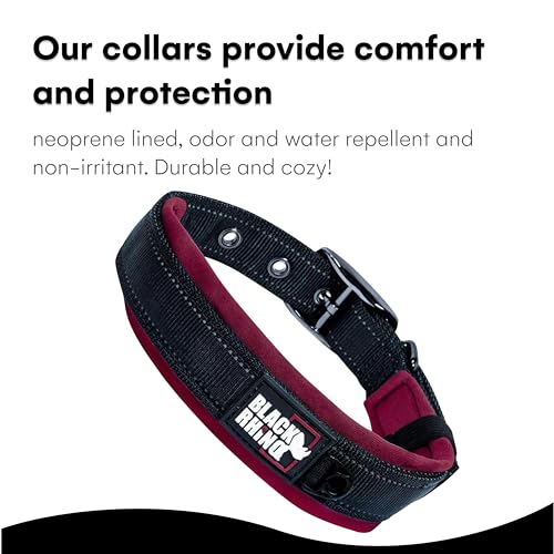Black Rhino - The Comfort Collar Ultra Soft Neoprene Padded Dog Collar for All Breeds - Heavy Duty Adjustable Reflective Weatherproof (XLarge, Burgundy/Bl) - Image 6