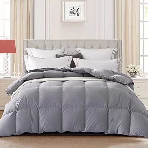 Globon Goose Down Comforter Queen Size Duvet Insert Lightweight for All Season,650 Fill Power,100% Cotton Shell with Corner Tabs, Grey…