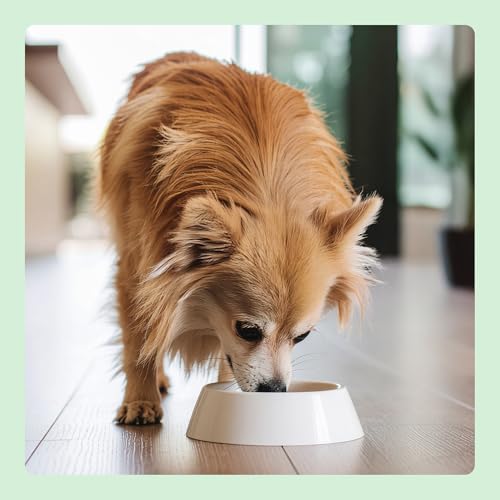 by Amazon Hundefutter für ausgewachsene Hunde (Adult) Kleiner Rassen, Fein zubereitetes Trockenfutter mit Lachs und Reis, 3 kg (1er-Pack)(Zuvor eine Marke von Lifelong, gleiches Produkt)
