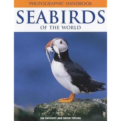 Seabirds of the World