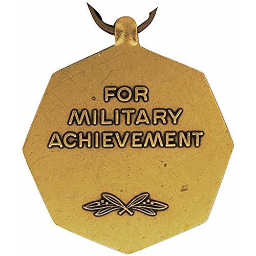 Medalla de logro del ejército AAM tamaño completo regalo histórico para cuadros de honor 3