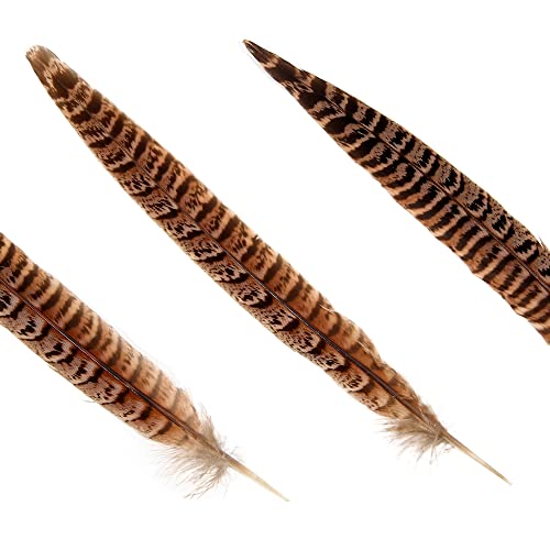 Ihufeather 20Pcs Natural Pheasant Feathers, Female Tails Feathers 6-8Inch For Diy Crafts Wedding Party Centerpieces Christmas Home Decoration #TOP1