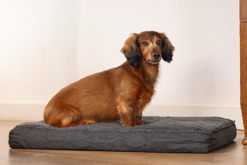 Beeztees Zira, Orthopädisches Hundebett, Dunkelgrau, 75x50x9 cm