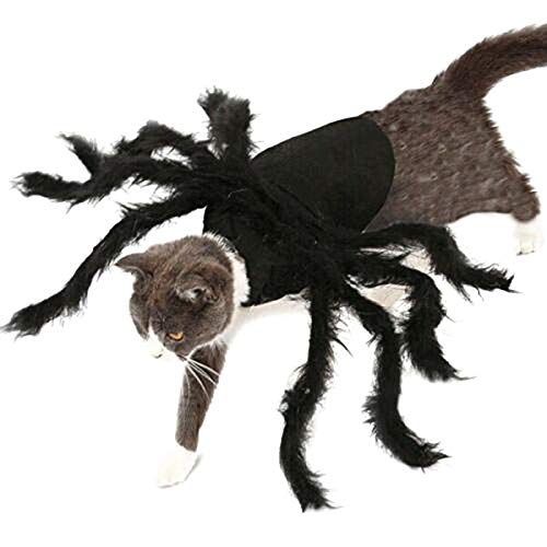 Déguisement Araignée Pour Chien - Costume Halloween 8 Pattes Poilues, Taille Moyenne/grande, En Feutre Souple - 9