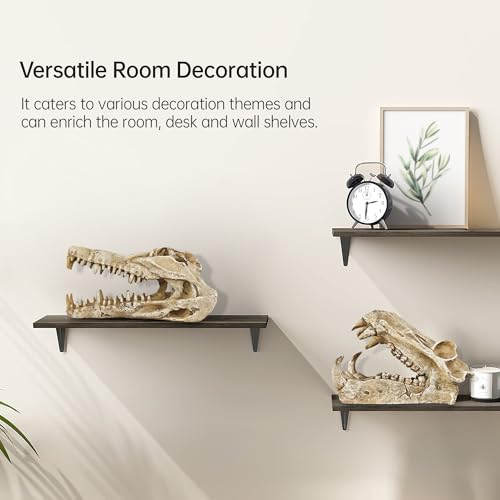 Image of Dinosaur Skull Aquarium Decor - Ideal for Fish Tank Decorations, Terrarium Decor, Aquarium Ornaments, and Bearded Dragon & Gecko Tank Accessories, Gift for Reptile & Fish Lovers