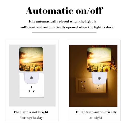 Image of Sunflower Field at Sunset Night Light,Plug Into Wall Decor for Stairway,Hallway,Kitchen,Dusk to Dawn Sensor Nightlights for Boys /Girls /Women /Men Room Gifts