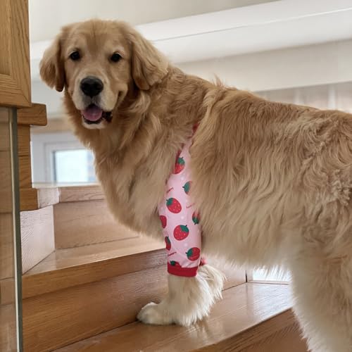 Image of HDKUW Dog Elbow Protector, Dog Front Leg Recovery Sleeve for Prevent Licking Wound, Elbow Sleeves with Mesh Pad for Medium Large Dogs