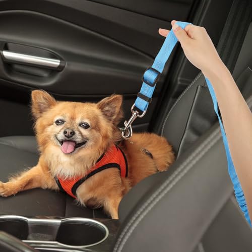Lollanda Sicherheitsgurt Hund Auto, Hundegurt fürs Auto Sitze mit Reflektierenden Streifen und Pufferseilen, Verstellbarer Hundegurt für Große Mittlere und Kleine Hunde (Hellblau)