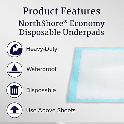 Northshore Economy, 17 X 24, 6 Oz, Blue Disposable Underpads (Chux), Small, Case/280 (4/70S) #TOP1
