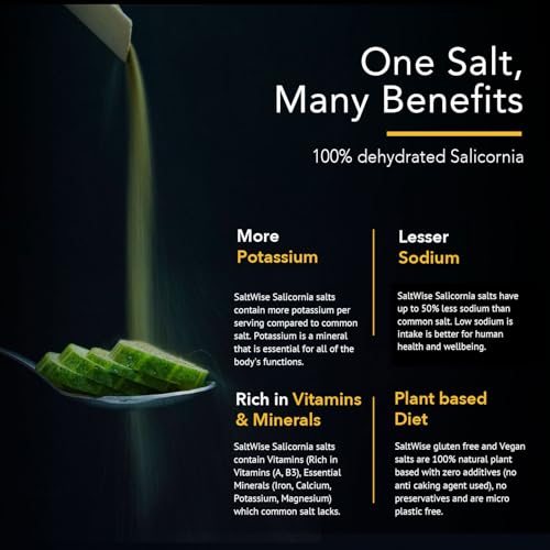 SaltWise Grünes Salz, Gourmet Chef’s Jar 2er-Pack – 50 % weniger Natrium, pflanzlicher Salzersatz, 100 % dehydrierte Salicornia (Meeresbohnen), natürliches Umami, keine Zusatzstoffe (insgesamt 400 g)