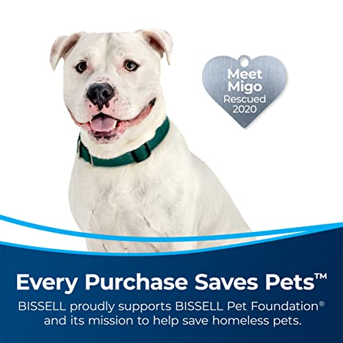 BISSELL MultiClean Allergen Rewind Pet Vacuum with HEPA Filter Sealed System, Automatic Cord Rewind, Tangle-free Brush Roll, & LED Headlights, 3402 4 BISSELL MultiClean Allergen Rewind Pet Vacuum with HEPA Filter Sealed System, Automatic Cord Rewind, Tangle-free Brush Roll, & LED Headlights, 3402 - Image 2