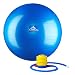 Black Mountain Products Professional Grade Stability Ball - Pro Series 1000Lbs Anti-Burst 2000Lbs Static Weight Capacity Blue