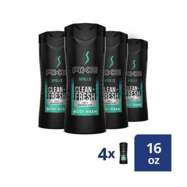 AXE Body Wash Apollo 4 Count for Long Lasting Freshness Sage & Cedarwood Men's Body Wash with Odor-Busting Prebiotics 16 oz