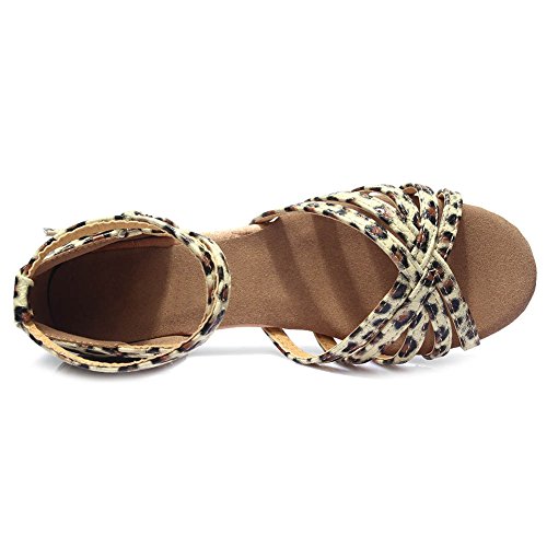 DKZSYIM Women&Girls Satin Latin Dance Shoes Low Heel Ballroom Salsa Tango Professional Performance Practice Dancing Shoes,Model 2034