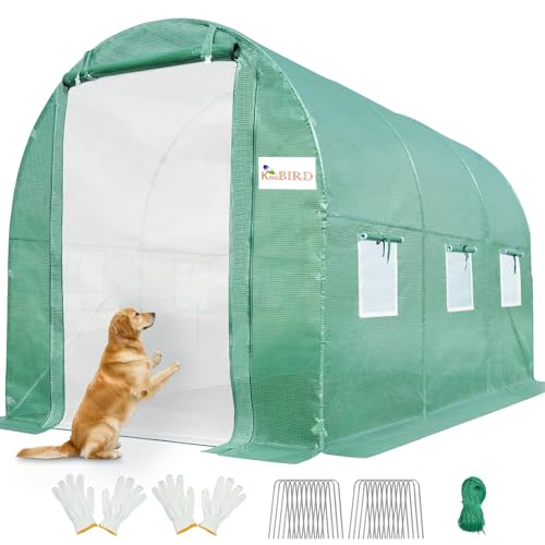 KING BIRD 10x6.6x6.6FT Greenhouse for Outdoors, Large