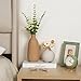Modern Ceramic Vase Set of 5, Vases Home Decor Rustic Farmhouse Decorative Vase Pottery Vases for Bouquet Pampas Grass Dried Fresh Flowers, Table Living Room Kitchen Bedroom