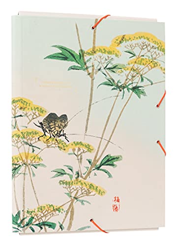 Grupo Erik Editores, S.l. - Carpeta Solapas Premium Japan 34X24,5X2,5 Grupo Erik Editores Verde En Oferta Carpeta Solapas Premium Japan - Carpeta A4 - Carpeta Clasificadora Escolar / Carpeta Portafolios - Carpeta Clasificadora Cartón - Carpeta Gomas A4 - Vuelta Al Cole Material Escolar