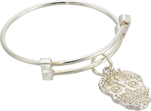 Alex and Ani Calavera Expandable Wire Ring - Precious Metal Sterling Silver One Size