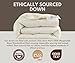 baisihan OverCloud™ Goose Down Comforter, Queen Size All Seasons Down Duvet Insert, Hotel Collection Comforter Ultra Soft 700+ Fill Power Down Proof Duvet Insert with Corner Tabs (90
