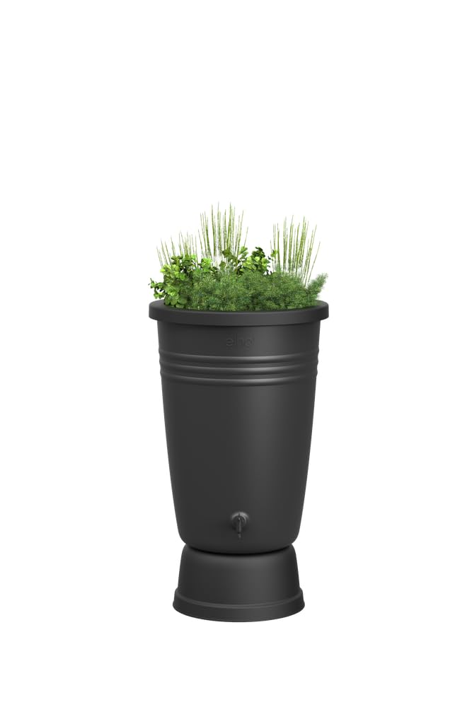 Elho Green Basics Rainbarrel Plus 110LTR - Rainbarrel for Grow your own - Ø 58.4 x H 80.4 cm - Black/Living Black