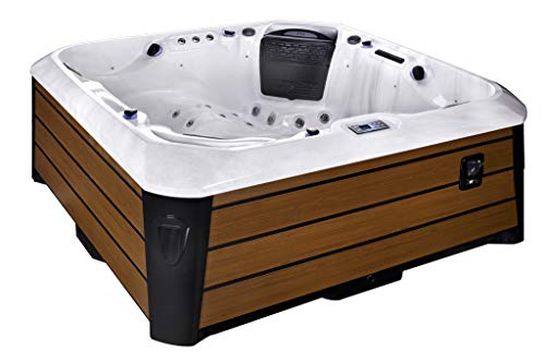 Platinum Spas Kenya Hot Tub (Sterling Silver, Brown)