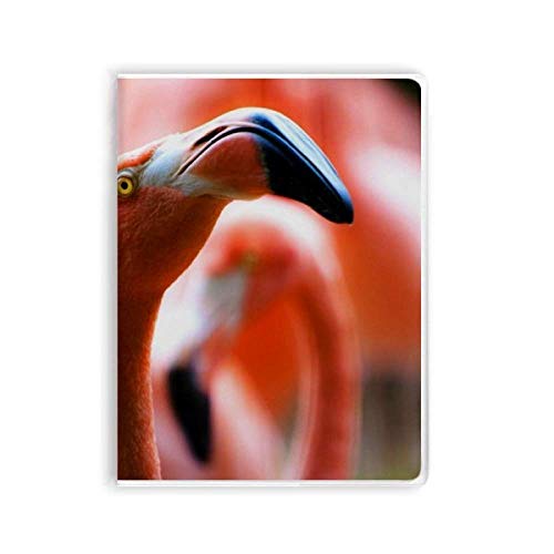 Carnet de notes flamant rose sauvage compagnon créatif de bureau