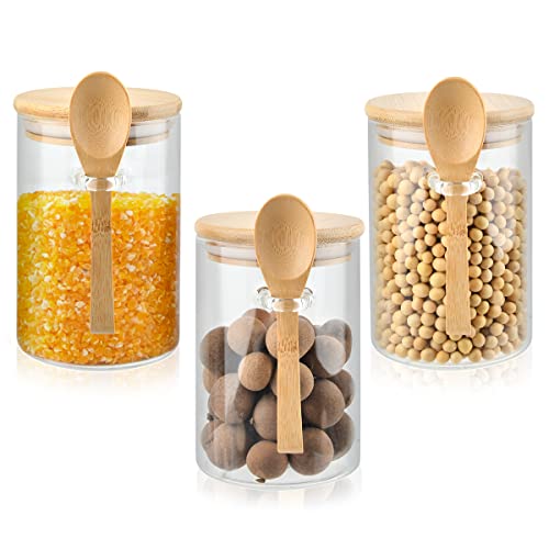 DODUOS 3PCS Glass Jars with Lids and Spoon, 450ML Glass Storage Containers with Lids Airtight, Glass Food Storage Jars Overnight Oats Jar, Glass Storage Jars with Lids Airtight for Tea Coffee Sugar