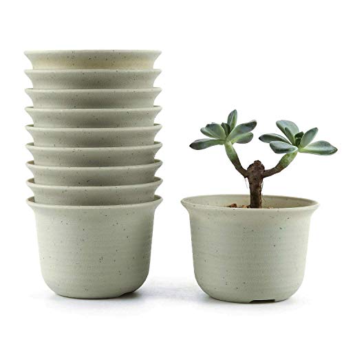 T4U 3.5 Inch Plastic Round succulent Plant Pot/Cactus Plant Pot Flower Pot/Container/Planter Package 1 Pack of 10