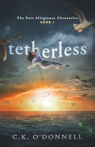 Tetherless view 2