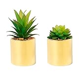 SasaAccueil Faux Succulent Artificial Plants 7'' & 5'' in Pots Home Decoration Set of 2 Gold Pots