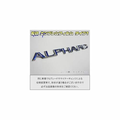 yz GutB T1 ԖGup At@[h H10 yJ[FNAu[z