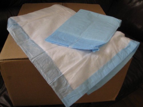 Puppy Wee Wee Housebreaking Training Underpads 17x24 Chux 300/case by Trademark Supplies