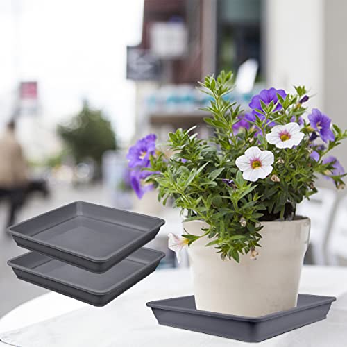 Lnq Luniqi 10 Pcs 6 Inch Square Plastic Plant Saucer Flower Pot Bottom Seat Flower Pot Tray Thick Plastic Drip Tray For Garden Potted Water Drips And Soil （Grey） #TOP2